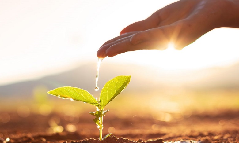 Un fonds Agritech de 50 millions de dollars avec le soutien de l'UM6P et OCP