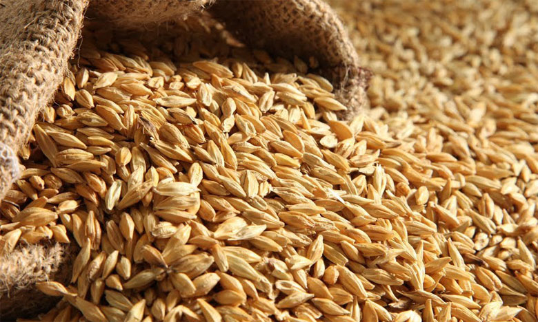 L'Onicl veut acquérir 1,5 Mqx d'orge destinée à l’alimentation animale 