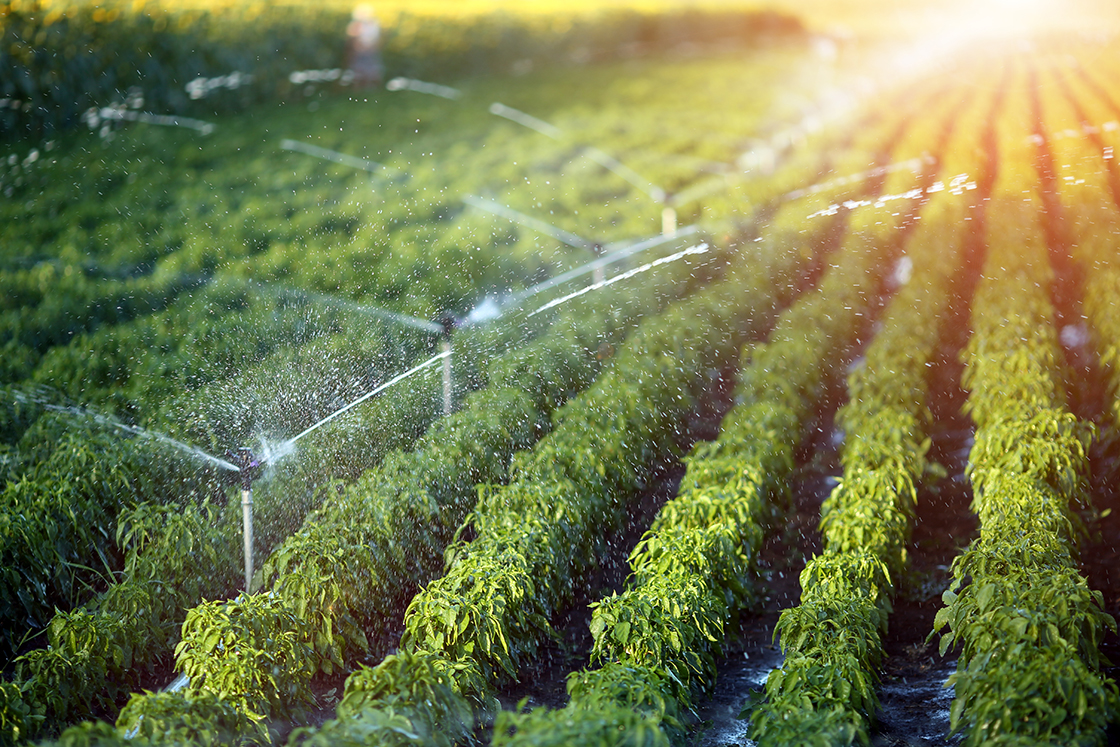 Irrigation : 180 millions de dollars pour renforcer la gouvernance de l’eau 