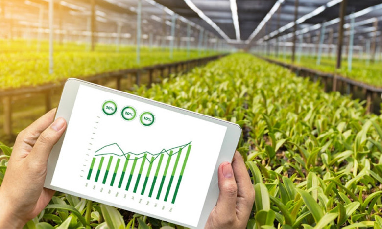 Formation professionnelle agricole : 9 nouveaux programmes creusent leur sillon