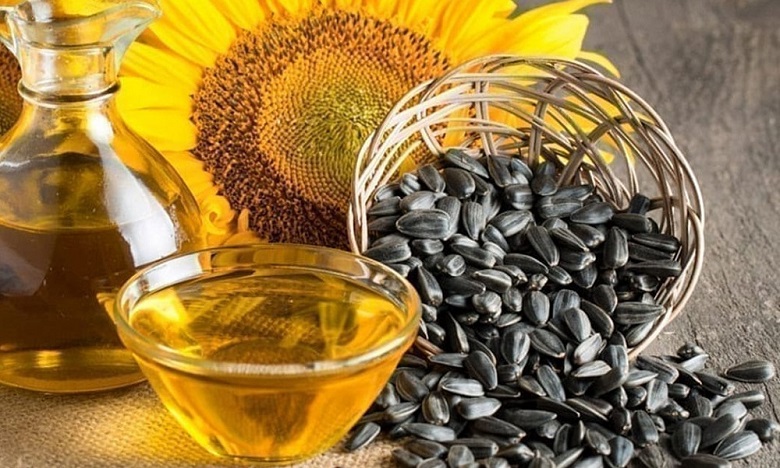 Maghreb Oléagineux en faveur d'une agriculture durable au Maroc    