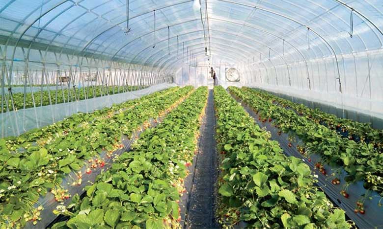 Bientôt une plateforme d’appui à l’entrepreneuriat des jeunes dans l’agrobusiness